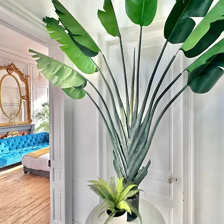 03 Cape Town - Jungle Habitación en casa particular Tourcoing