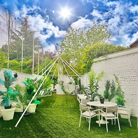 03 Cape Town - Jungle